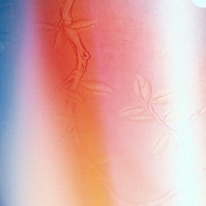 Meet your Posher, Allisonallison